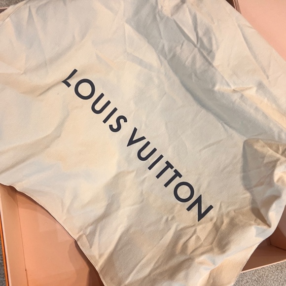 Louis Vuitton Hobo Style Bag - Picture 5 of 11